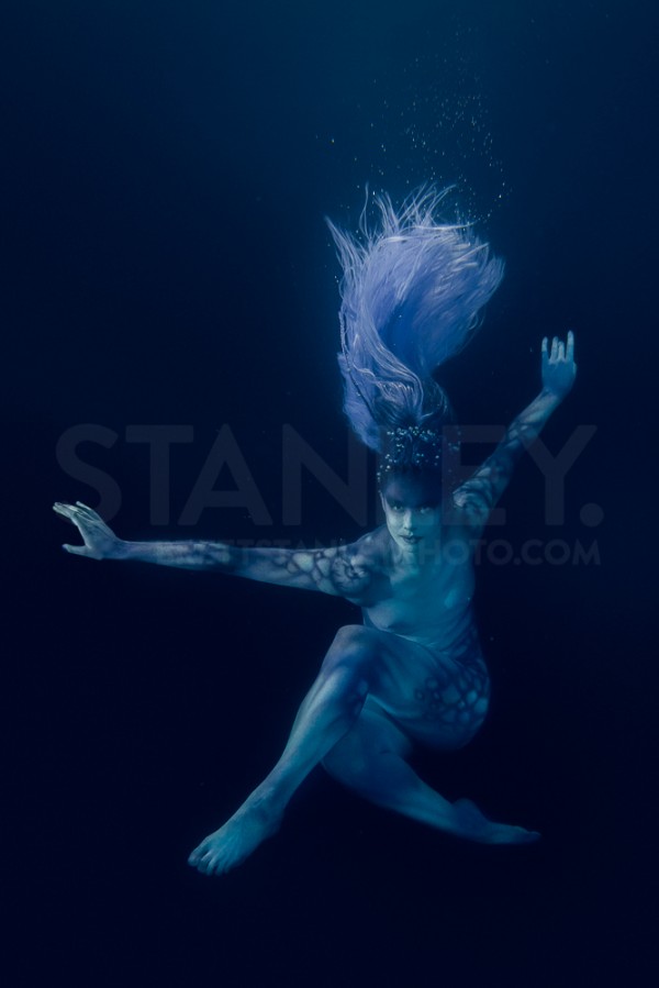 Underwater Photography Feature In F11 Magazine Brett Stanley