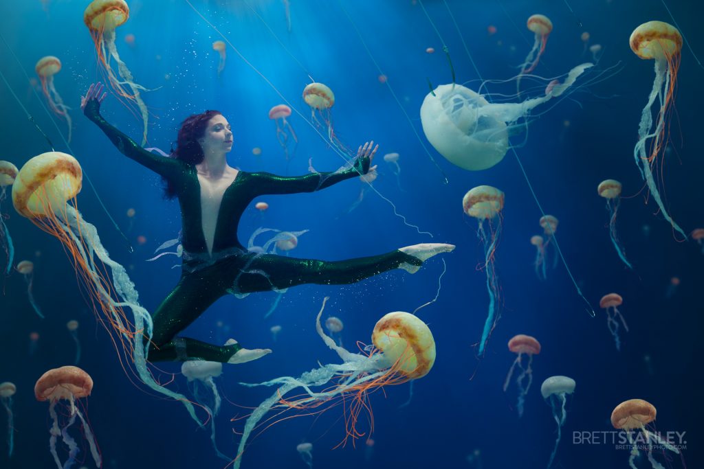 Jellyfish Soup Ocean Conservation Project - Christine Ren Films