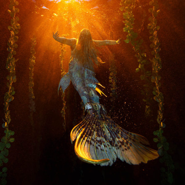 Jackie Appel-Brett Stanley-220305-_MG_3675-Edit