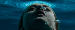 Underwater Photographer Brett Stanley - Los Angeles & New Zealand